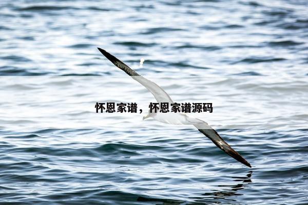 怀恩家谱，怀恩家谱源码