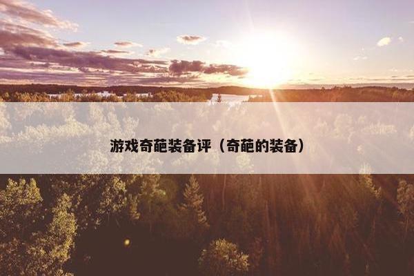 游戏奇葩装备评（奇葩的装备）