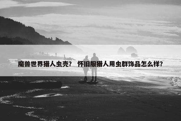 魔兽世界猎人虫壳？ 怀旧服猎人用虫群饰品怎么样？