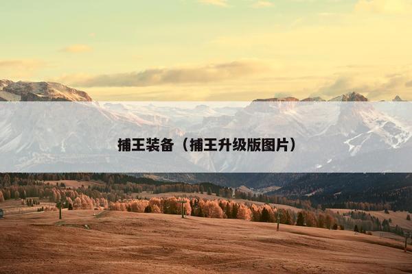 捕王装备（捕王升级版图片）
