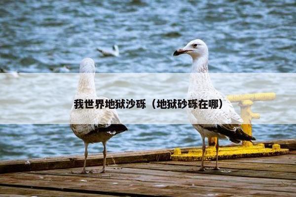 我世界地狱沙砾（地狱砂砾在哪）