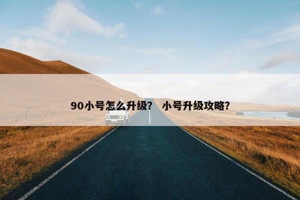 90小号怎么升级？ 小号升级攻略？