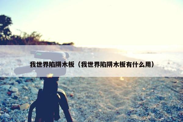 我世界陷阱木板（我世界陷阱木板有什么用）