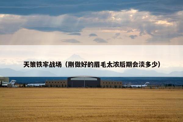 天策铁牢战场（刚做好的眉毛太浓后期会淡多少）