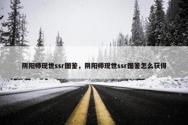 阴阳师现世ssr图鉴，阴阳师现世ssr图鉴怎么获得