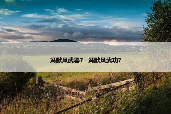 冯默风武器？ 冯默风武功？