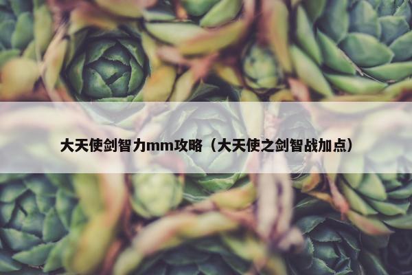 大天使剑智力mm攻略（大天使之剑智战加点）