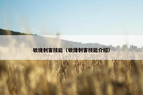 敏捷刺客技能（敏捷刺客技能介绍）