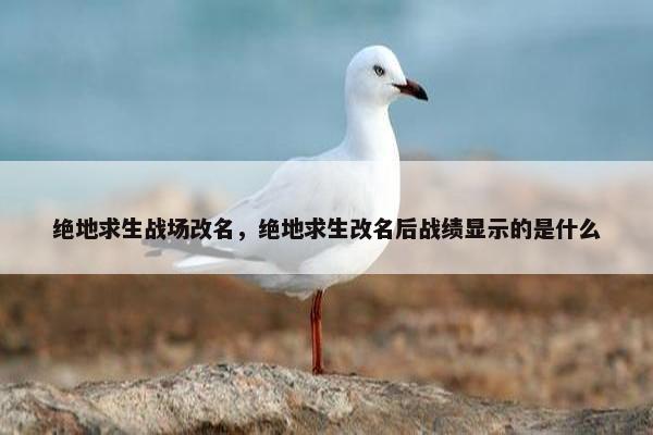 绝地求生战场改名，绝地求生改名后战绩显示的是什么