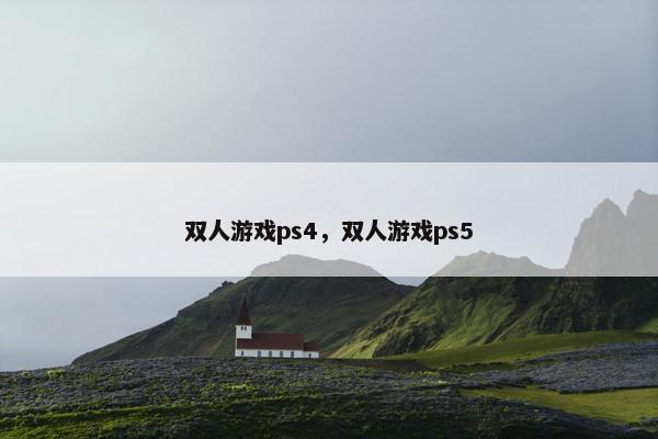 双人游戏ps4，双人游戏ps5