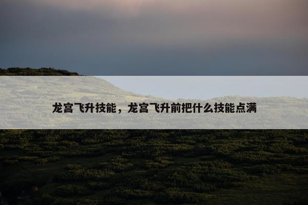 龙宫飞升技能，龙宫飞升前把什么技能点满