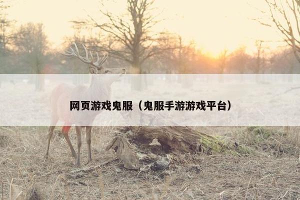 网页游戏鬼服（鬼服手游游戏平台）