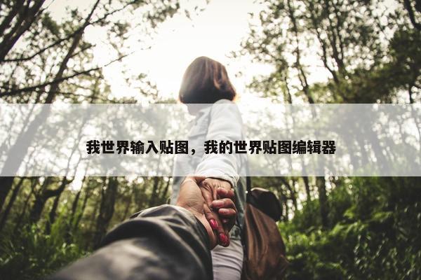 我世界输入贴图，我的世界贴图编辑器