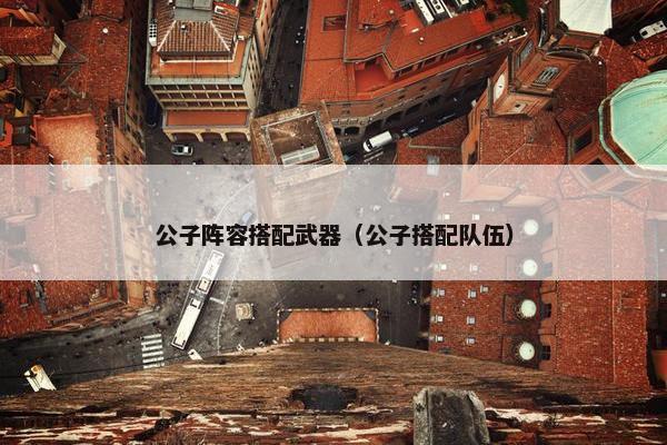 公子阵容搭配武器（公子搭配队伍）
