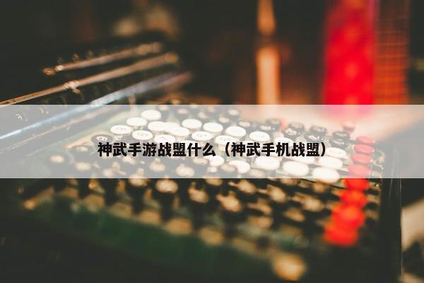 神武手游战盟什么（神武手机战盟）
