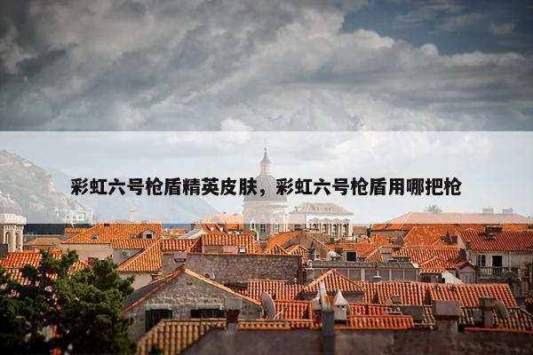 彩虹六号枪盾精英皮肤，彩虹六号枪盾用哪把枪