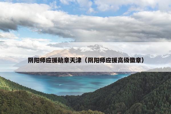 阴阳师应援勋章天津（阴阳师应援高级徽章）