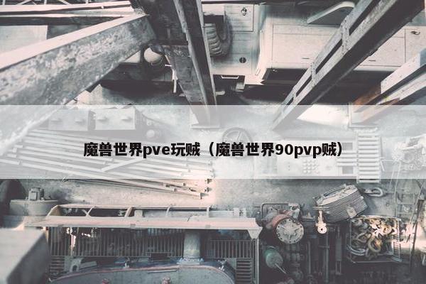 魔兽世界pve玩贼（魔兽世界90pvp贼）