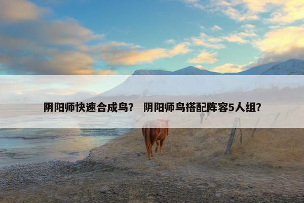 阴阳师快速合成鸟？ 阴阳师鸟搭配阵容5人组？