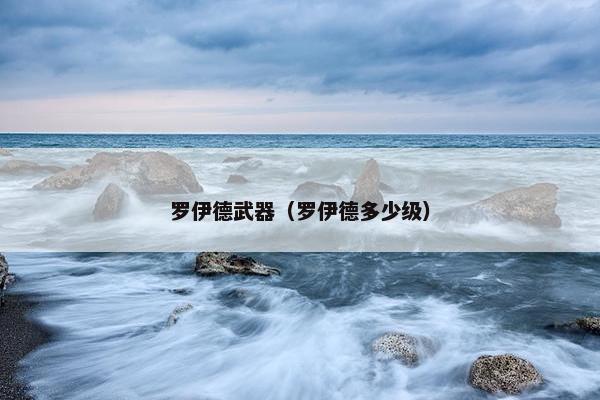 罗伊德武器（罗伊德多少级）