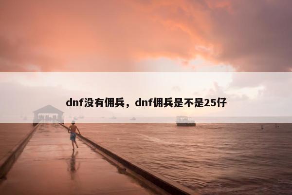 dnf没有佣兵，dnf佣兵是不是25仔