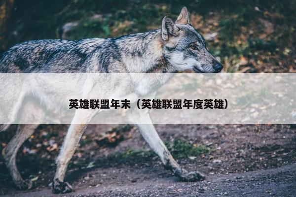 英雄联盟年末（英雄联盟年度英雄）