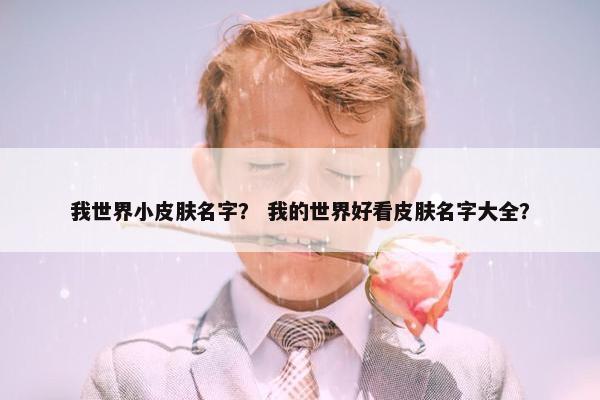 我世界小皮肤名字？ 我的世界好看皮肤名字大全？
