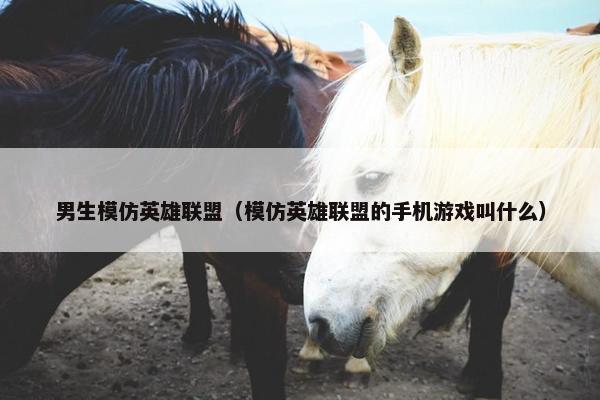 男生模仿英雄联盟（模仿英雄联盟的手机游戏叫什么）