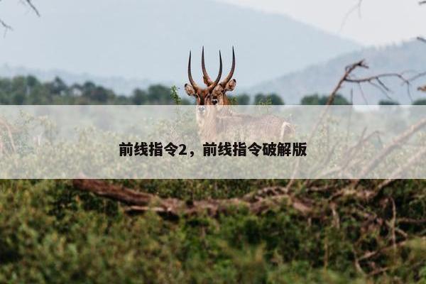 前线指令2，前线指令破解版
