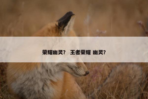 荣耀幽灵？ 王者荣耀 幽灵？