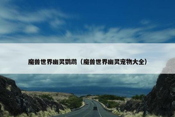 魔兽世界幽灵鹦鹉（魔兽世界幽灵宠物大全）