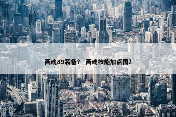 画魂89装备？ 画魂技能加点图？