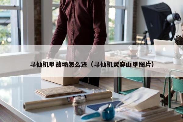 寻仙机甲战场怎么进（寻仙机灵穿山甲图片）