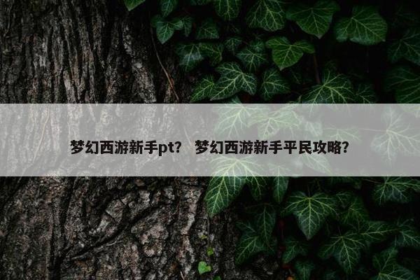 梦幻西游新手pt？ 梦幻西游新手平民攻略？