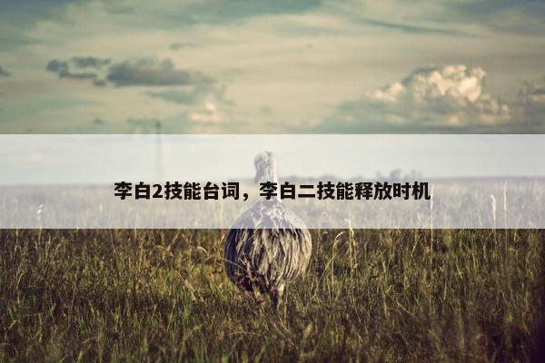 李白2技能台词，李白二技能释放时机