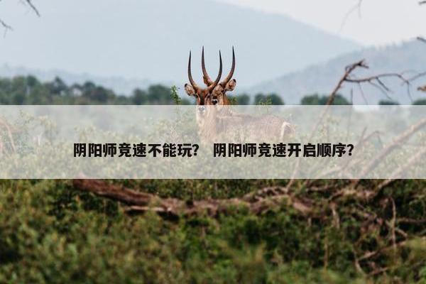 阴阳师竞速不能玩？ 阴阳师竞速开启顺序？