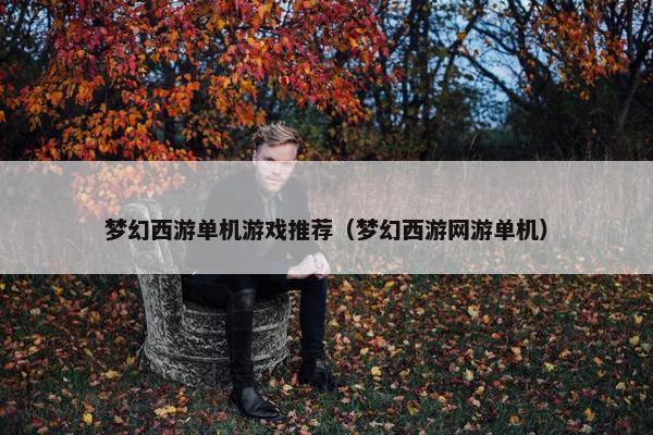 梦幻西游单机游戏推荐（梦幻西游网游单机）