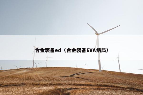 合金装备ed（合金装备EVA结局）