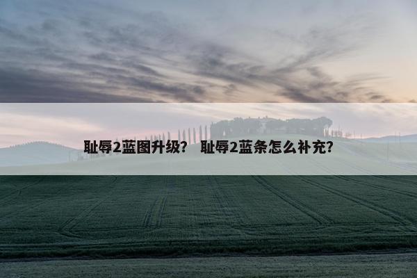 耻辱2蓝图升级？ 耻辱2蓝条怎么补充？