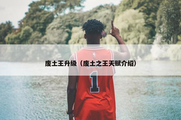 废土王升级（废土之王天赋介绍）