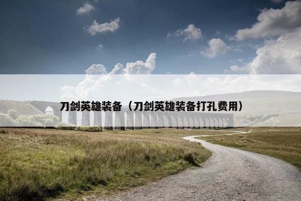 刀剑英雄装备（刀剑英雄装备打孔费用）