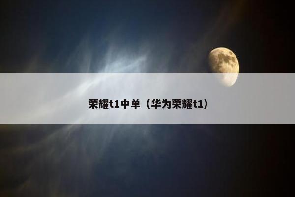 荣耀t1中单（华为荣耀t1）