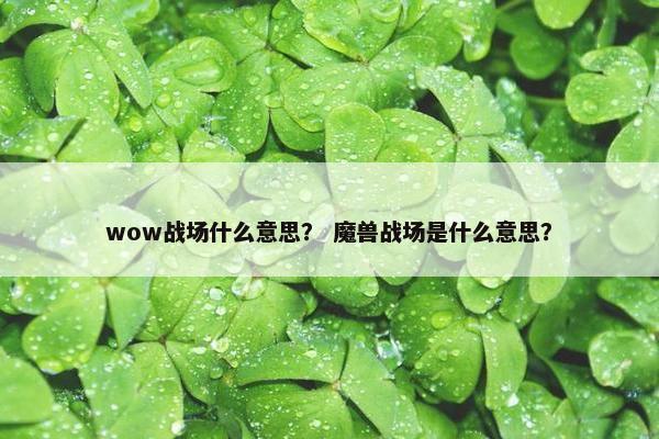 wow战场什么意思？ 魔兽战场是什么意思？