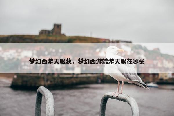 梦幻西游天眼获，梦幻西游端游天眼在哪买