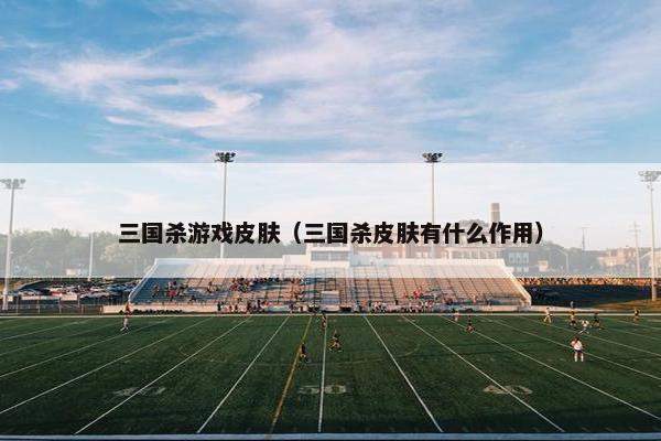 三国杀游戏皮肤（三国杀皮肤有什么作用）