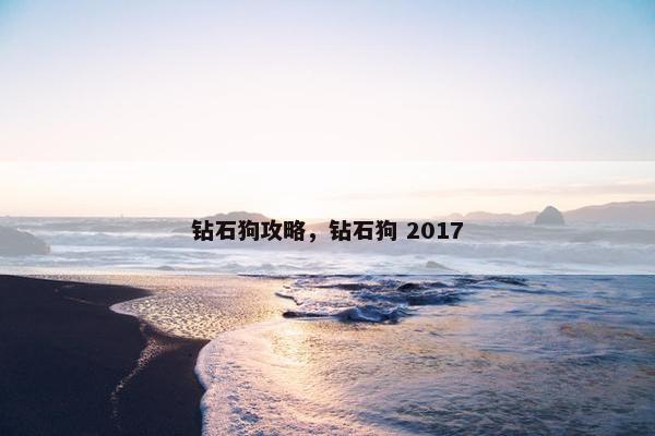 钻石狗攻略，钻石狗 2017