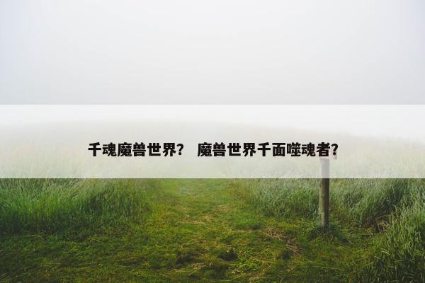 千魂魔兽世界？ 魔兽世界千面噬魂者？