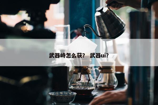 武器峙怎么获？ 武器ui？
