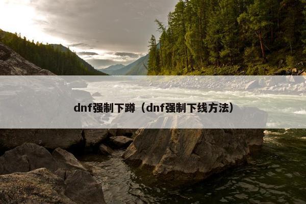 dnf强制下蹲（dnf强制下线方法）