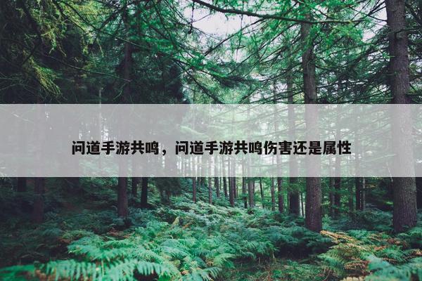 问道手游共鸣，问道手游共鸣伤害还是属性